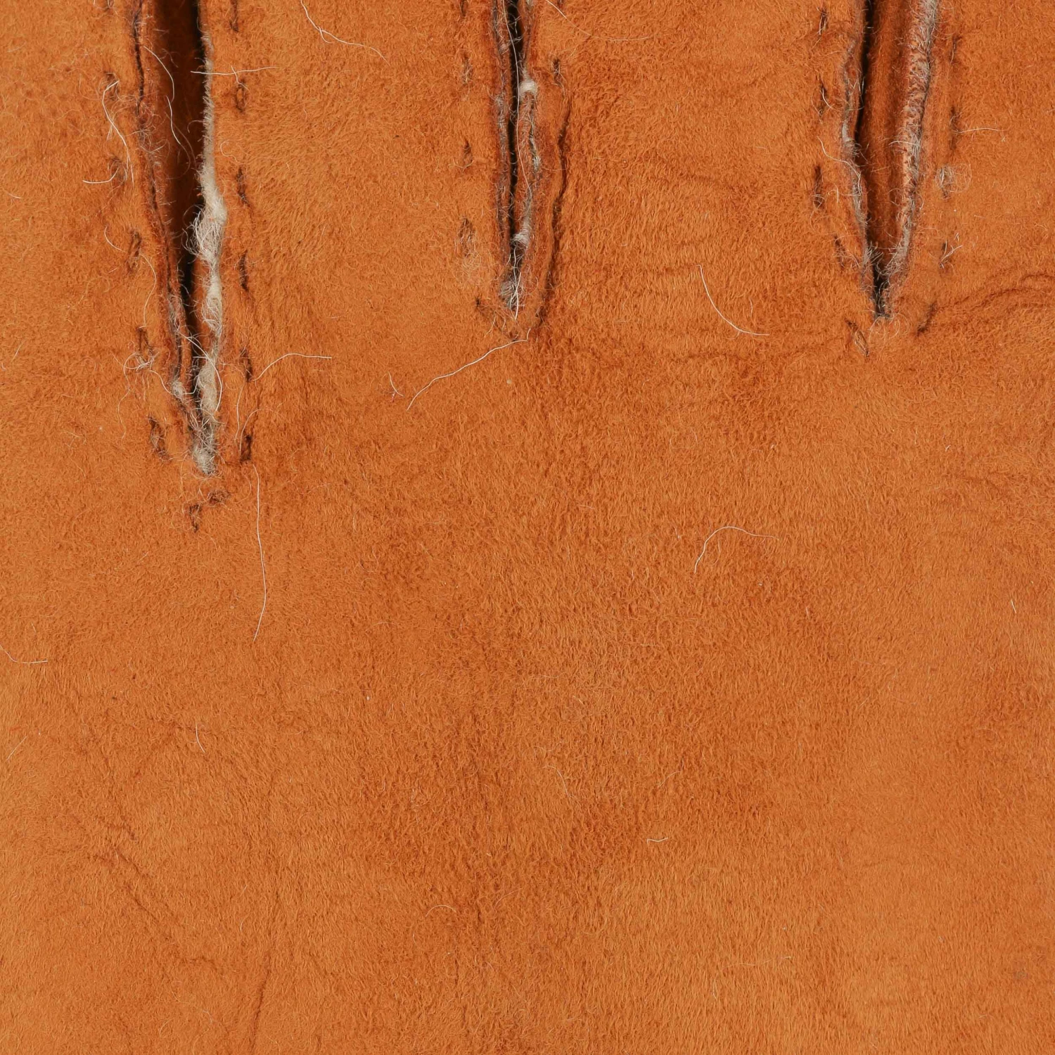 Lambskin Damenhandschuhe By Caridei 4 Lambskin Damenhandschuhe By Caridei – Bild 4