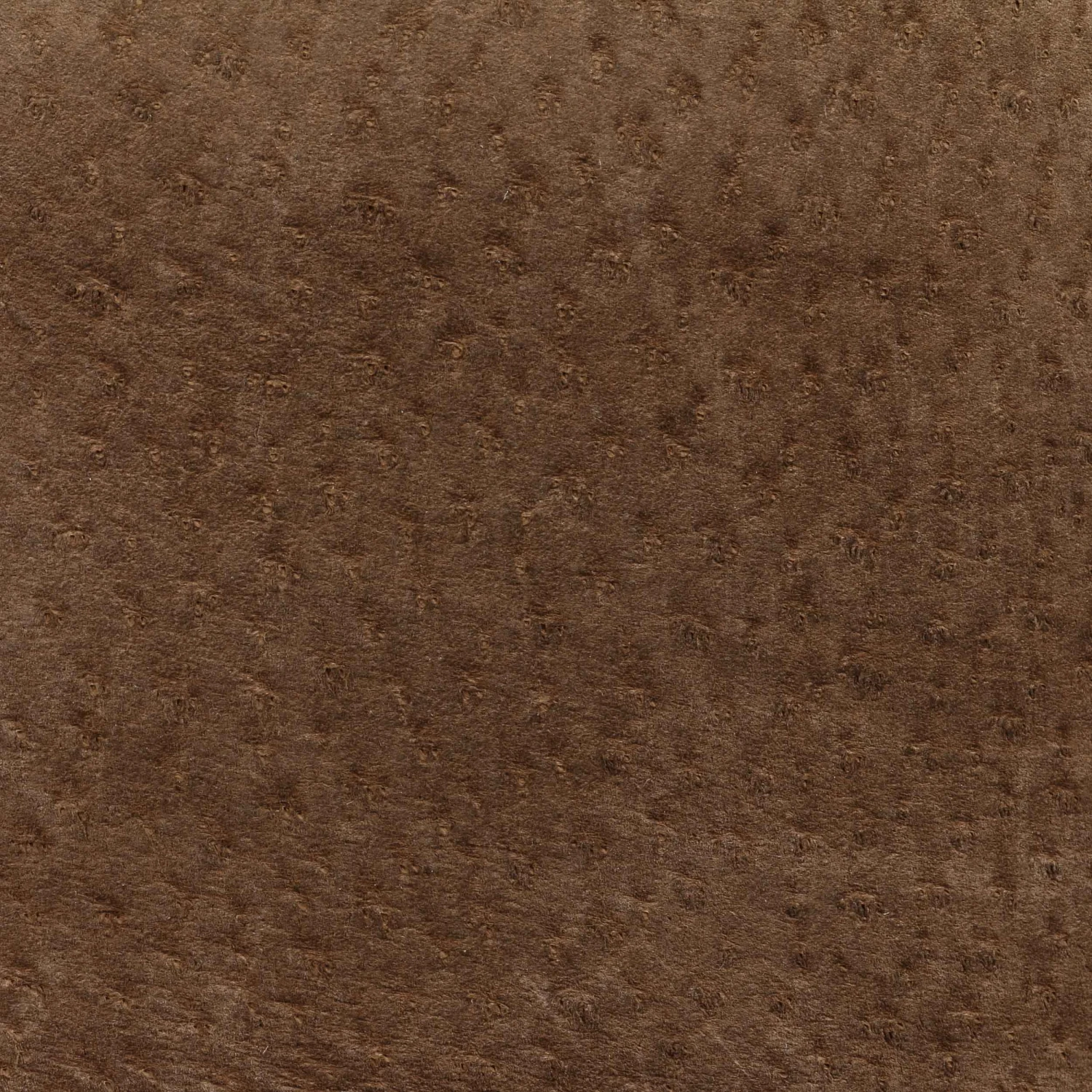 Smooth Trilby Lederhut By Lipodo 4 Smooth Trilby Lederhut By Lipodo – Bild 4