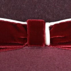 Twotone Fedora Mit Samtband By Lierys -Bekleidungsgeschäft Twotone Fedora mit Samtband by Lierys pflaume.54785 4rf205